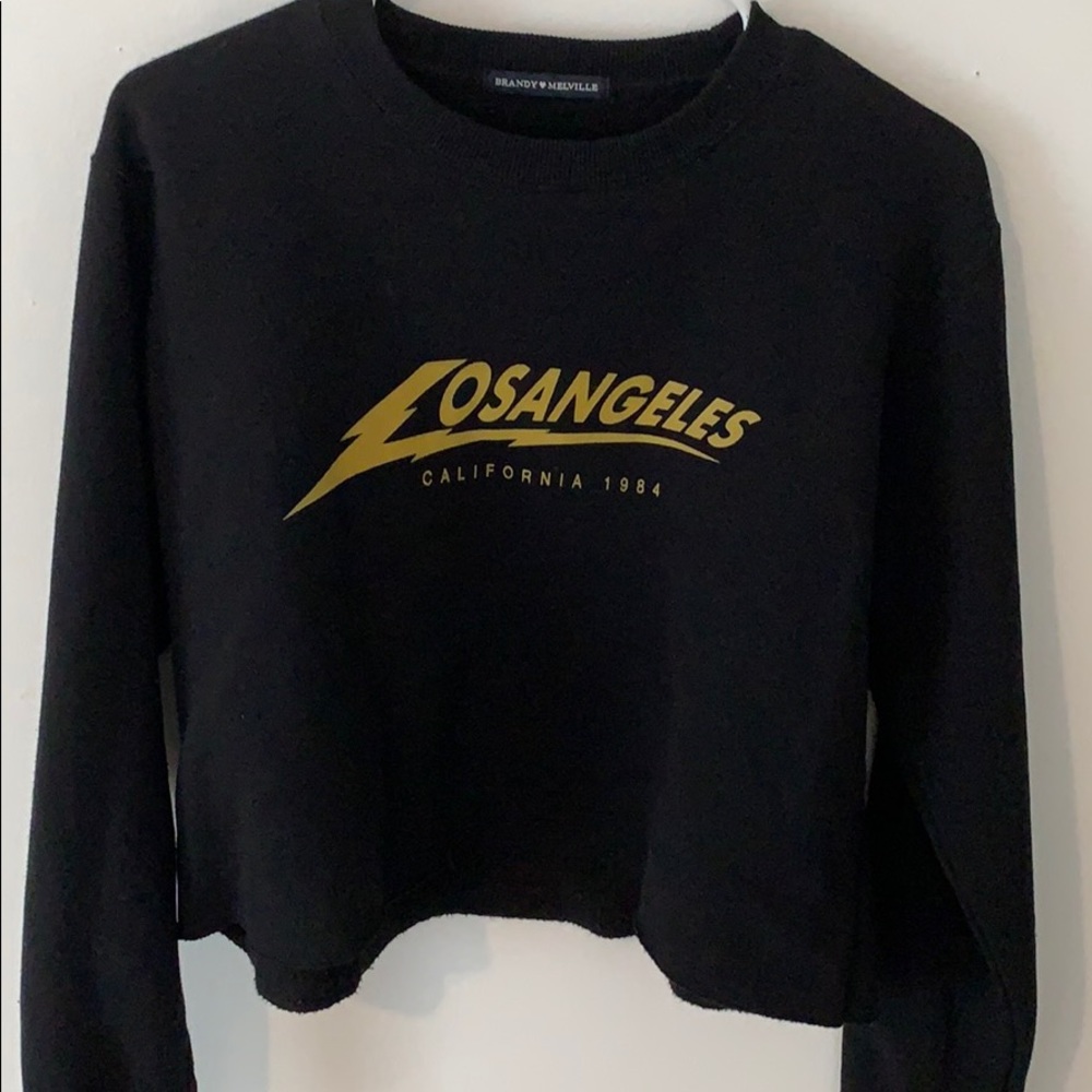 los angeles brandy melville crop top